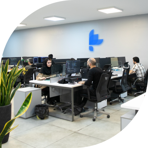 developer