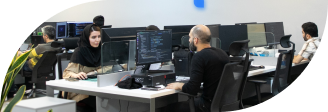 developer