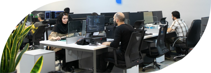 developer